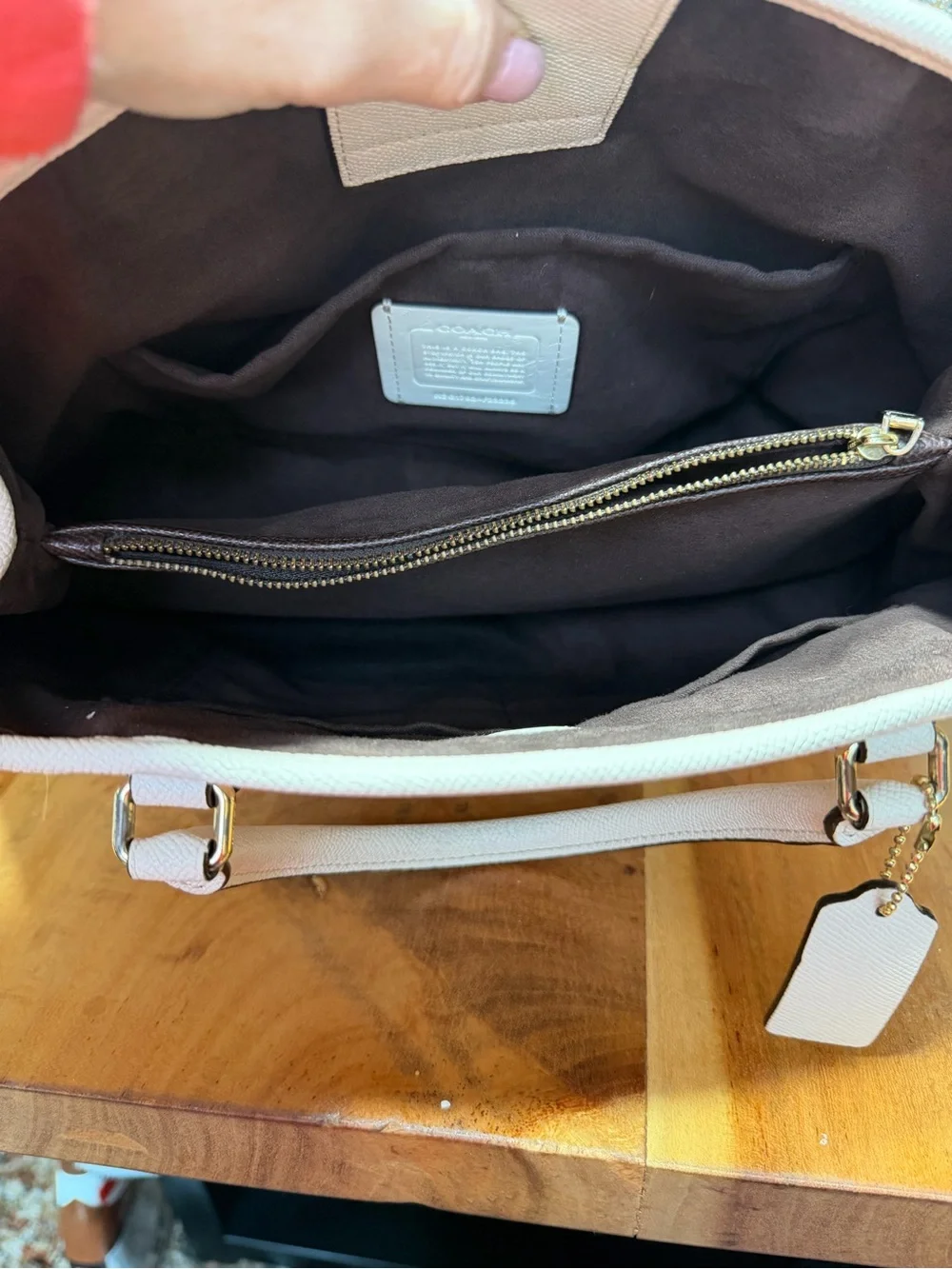 Coach Celestial 2017 Rare Highly Collectible Stardust Margot Carryall